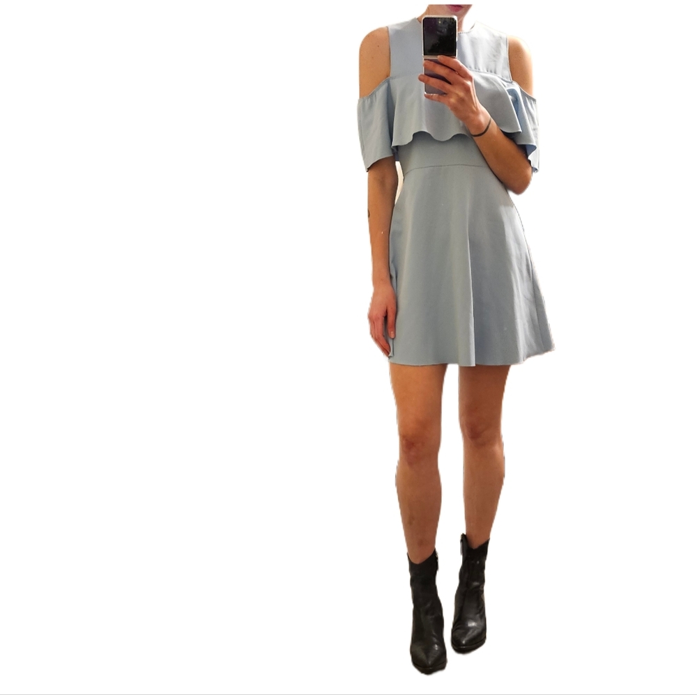 Zara Skater Dress